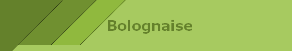 Bolognaise